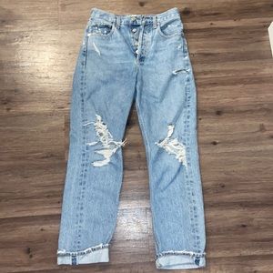 Agolde 90’s Mid Rise Loose Fit Jeans in Fall Out